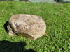 Partial Ash Rock Urn PA 1885 Natural Riversand