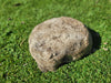 Partial Ash Rock Urn PA 1885 Natural Riversand