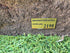 Memorial Rock Urn 2198 Large Double Brown