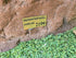 Memorial Rock Urn 2199 Large Double Brown