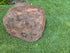 Memorial Rock Urn 2199 Large Double Brown