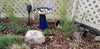 PET Memorial Rock Urn 1173